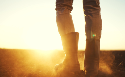 CropLife UK clarifies SPS position after misleading reports